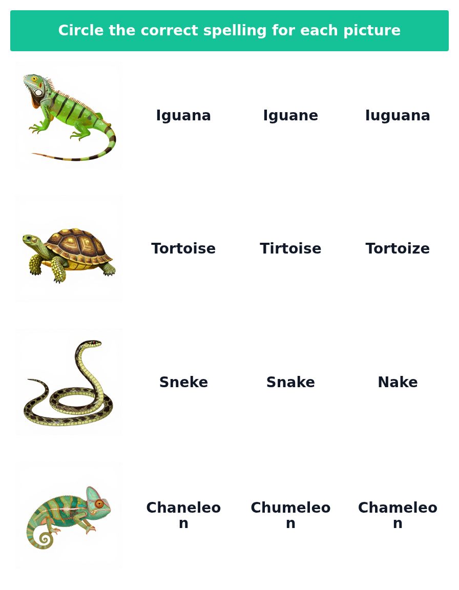Animal Spelling Adventure for Kids (Ages 5–8)